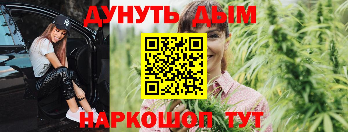 Россия  Шишки марихуана планчик  Вход с VPN  Канабис марихуана  Конопля сатива 